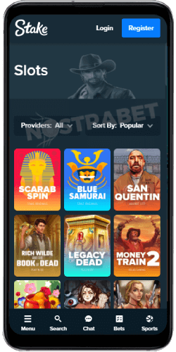 Stake casino mobile